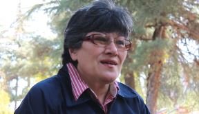 ვიდეო პროექტი