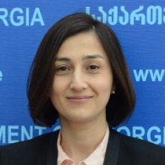 ნინო გოგუაძე